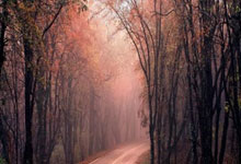 东亚球队在国际比赛中夺得胜利颂