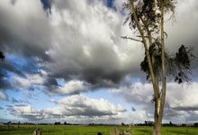 东亚球队在国际比赛中夺得胜利颂