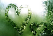 法国队备战欧洲足球锦标赛，期待传奇表现