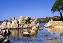 意大利前锋传闻拒绝加盟巴塞：真相、影响与未来走向